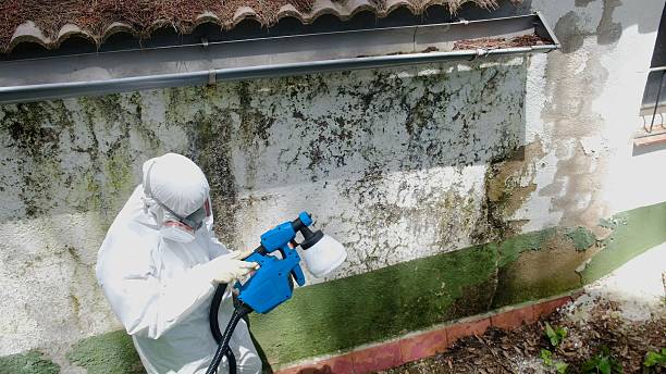 Trusted Bathroom Mold Removal service in Jefferson, NC - Cheap Mold Removal